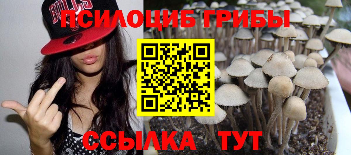 Псилоцибиновые грибы прущие грибы  Галлюциногенные грибы MAGIC MUSHROOMS  Калуга  Вход с VPN 